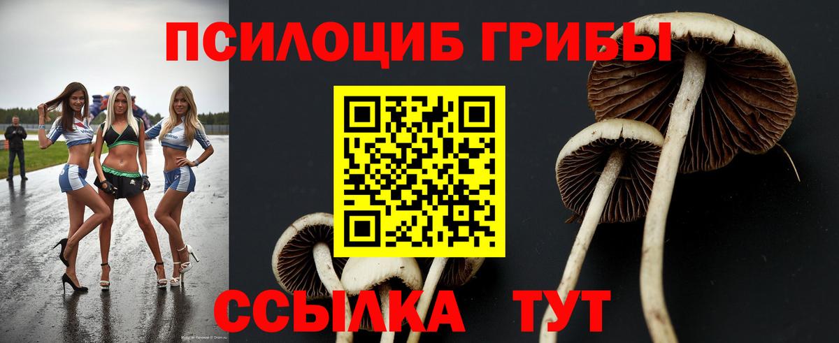 Галлюциногенные грибы мухоморы  Псилоцибиновые грибы мухоморы  Вход с VPN  Бердск 