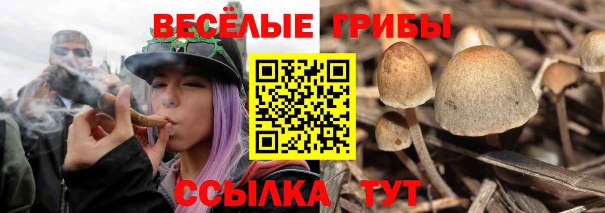 Псилоцибиновые грибы мухоморы Бердск